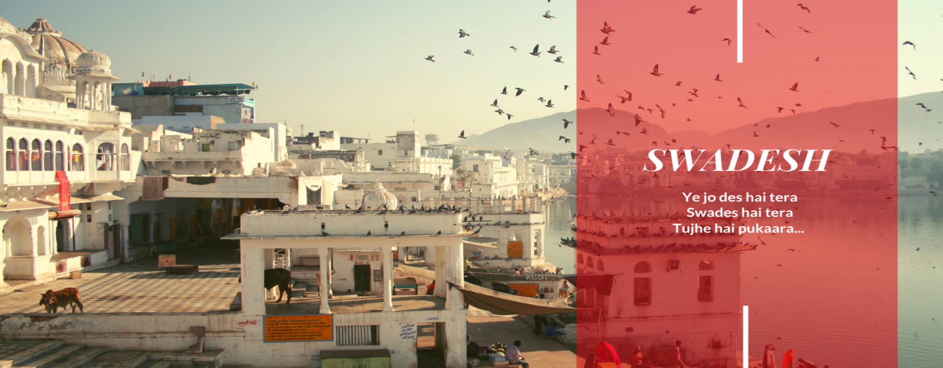 Astro Domestic Tours